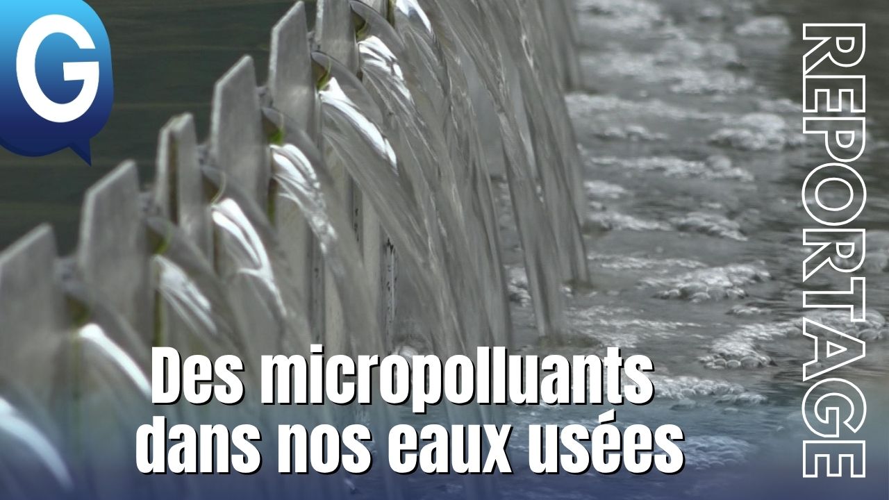eaux usées miniature gresivaudan mirko pesci