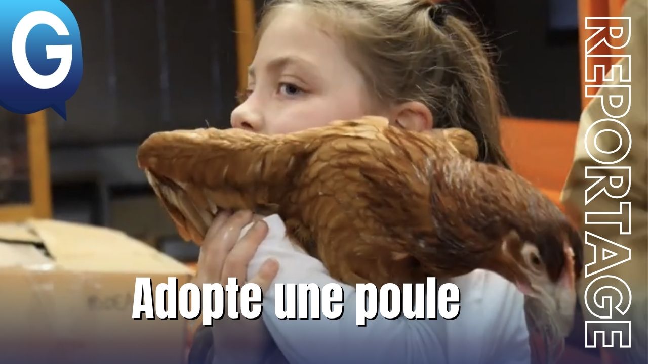 enfant tenant une poule