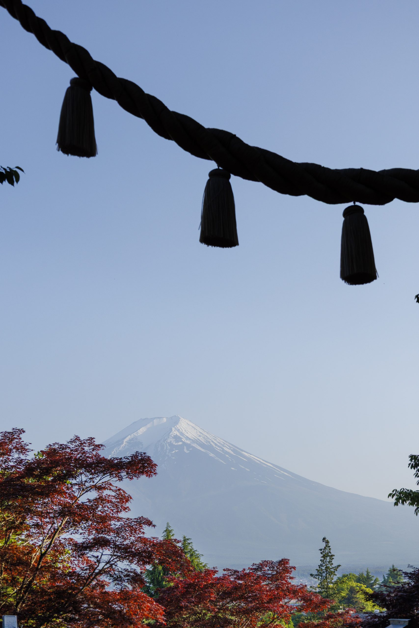 Voyage France Japon Mirko Pesci Fuji
