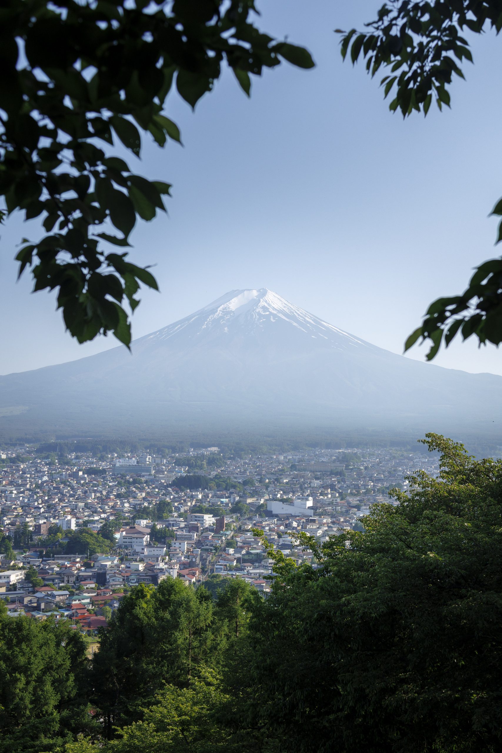 Voyage France Japon Mirko Pesci Fuji
