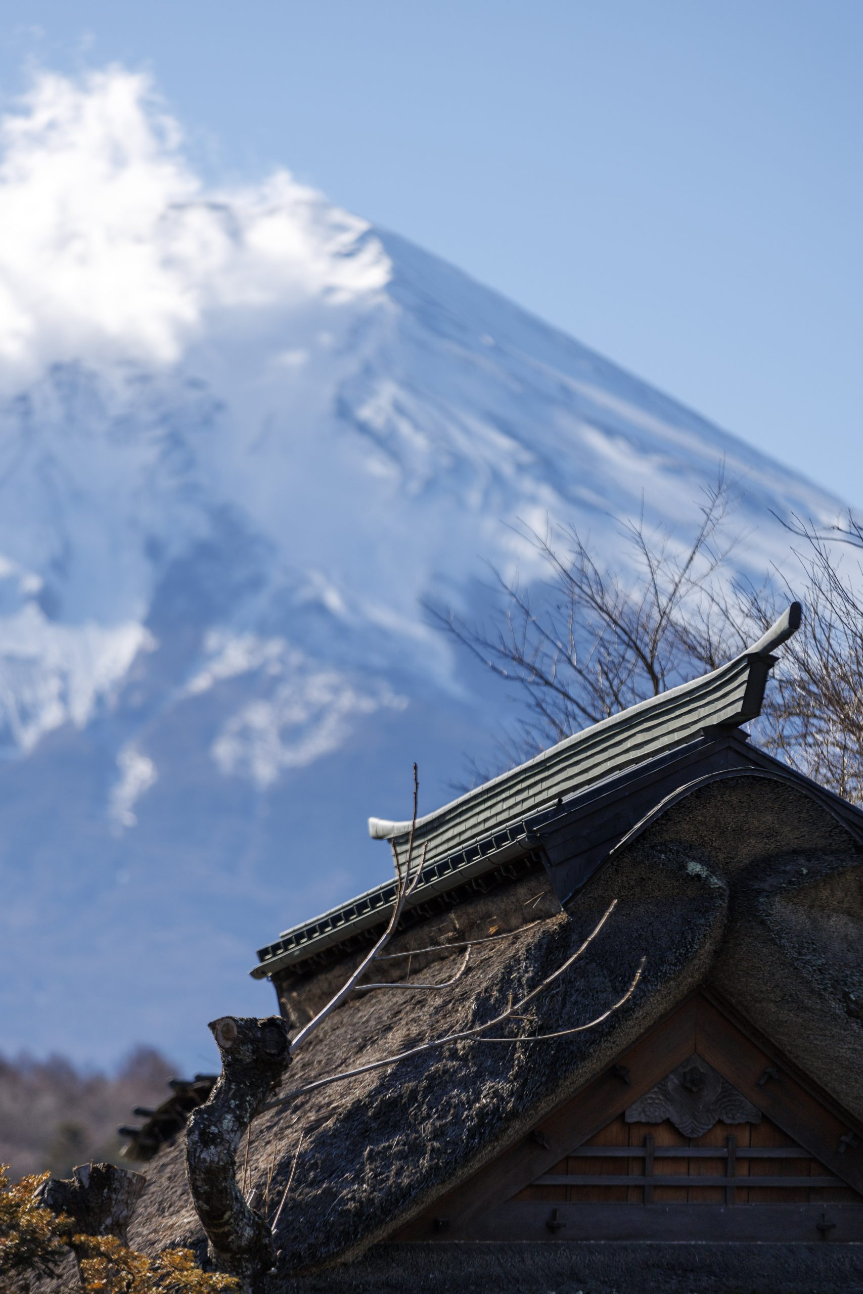 Voyage France Japon Mirko Pesci Fuji